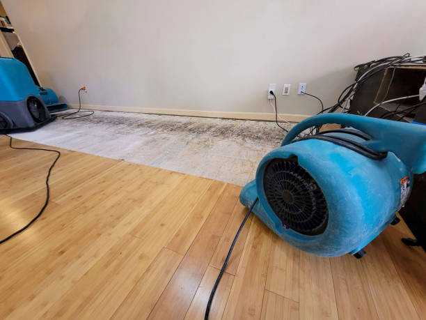 Professional Water Damage Repair technician working in Hinckley, MN